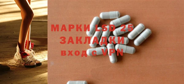 прущие грибы Аркадак