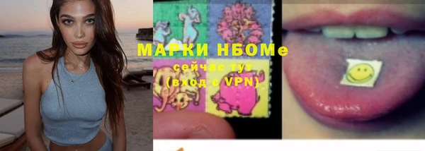 прущие грибы Аркадак