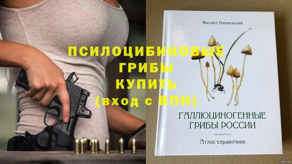 прущие грибы Аркадак