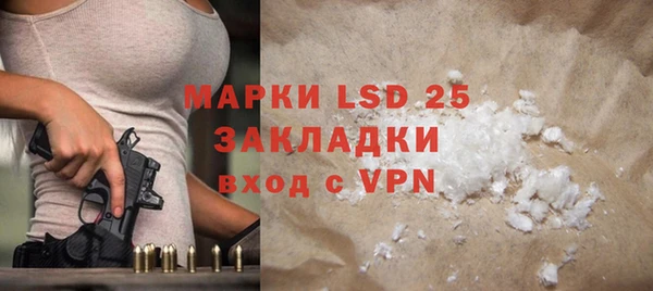 прущие грибы Аркадак