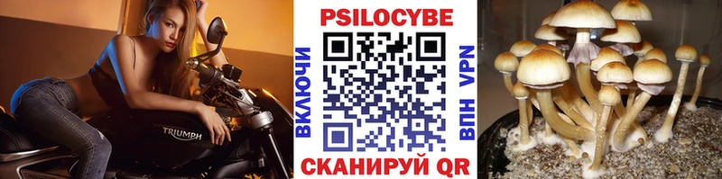 Псилоцибиновые грибы прущие грибы  Оха 